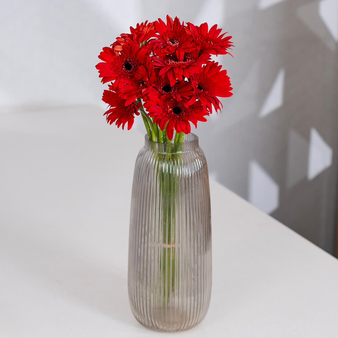Gerbera cut flowers with open blooms in multiple bright colours