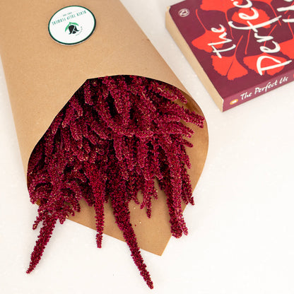 Hanging Amaranthus cut flowers in red colour wrapped in brown paper