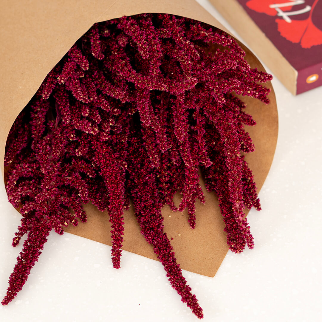 Hanging Amaranthus cut flowers in red colour wrapped in brown paper