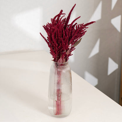 Hanging Amaranthus cut flowers in red colour placed in ribbed glass vase.