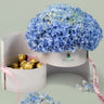 Hydrangea Harmony