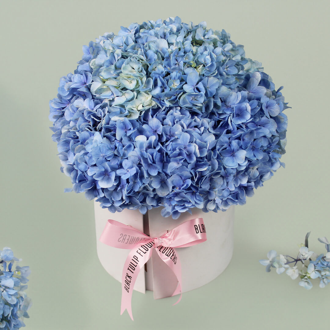 Hydrangea Harmony bouquet featuring fresh hydrangea blooms arranged beautifully for elegant gifting and special occasions