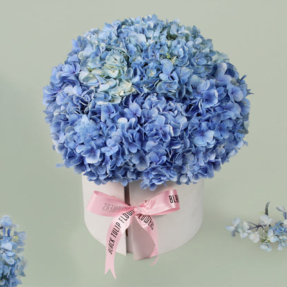Hydrangea Harmony bouquet featuring fresh hydrangea blooms arranged beautifully for elegant gifting and special occasions