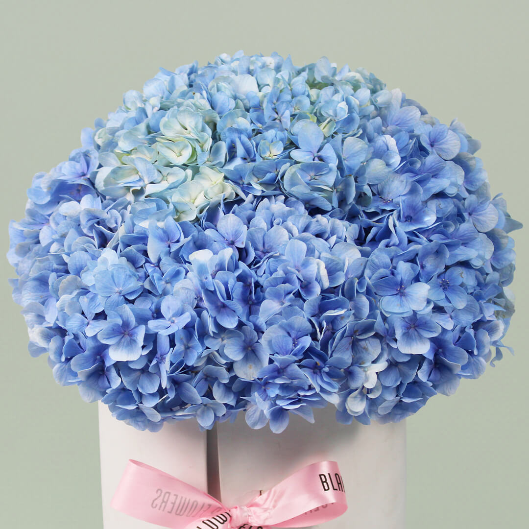 Hydrangea Harmony bouquet featuring fresh hydrangea blooms arranged beautifully for elegant gifting and special occasions