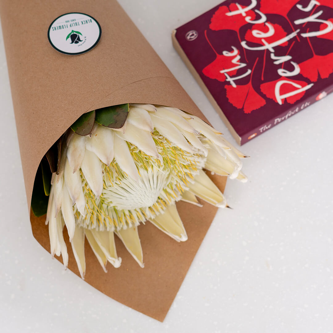 King Protea with a large textured flower wrapped in a sheet