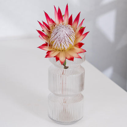 King Protea with a large textured flower wrapped in a sheet