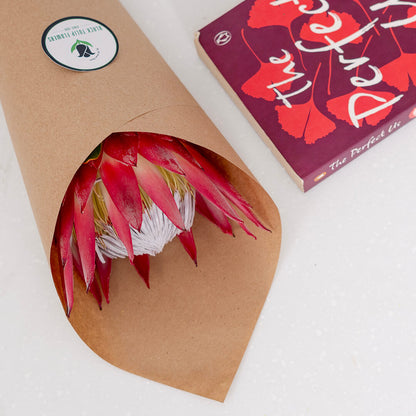 King Protea with a large textured flower wrapped in a sheet