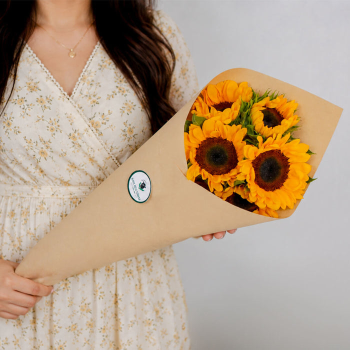 Sunflowers by stem
