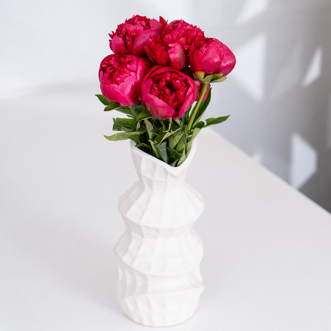 Peony Cut Flowers by stem