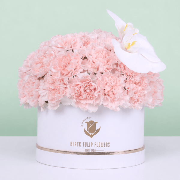 Pink Carnation & White Orchid Box arranged with pink carnations and a white orchid accent