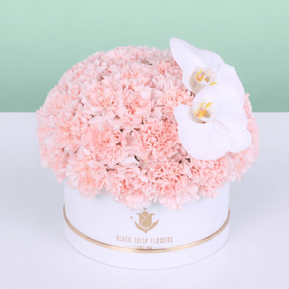 Pink Carnation & White Orchid Box arranged with pink carnations and a white orchid accent
