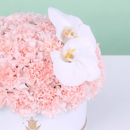 Pink Carnation & White Orchid Box arranged with pink carnations and a white orchid accent