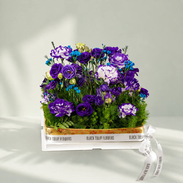Purple and blue Eustoma with wax flowers and green leaves arranged in elegant flower box