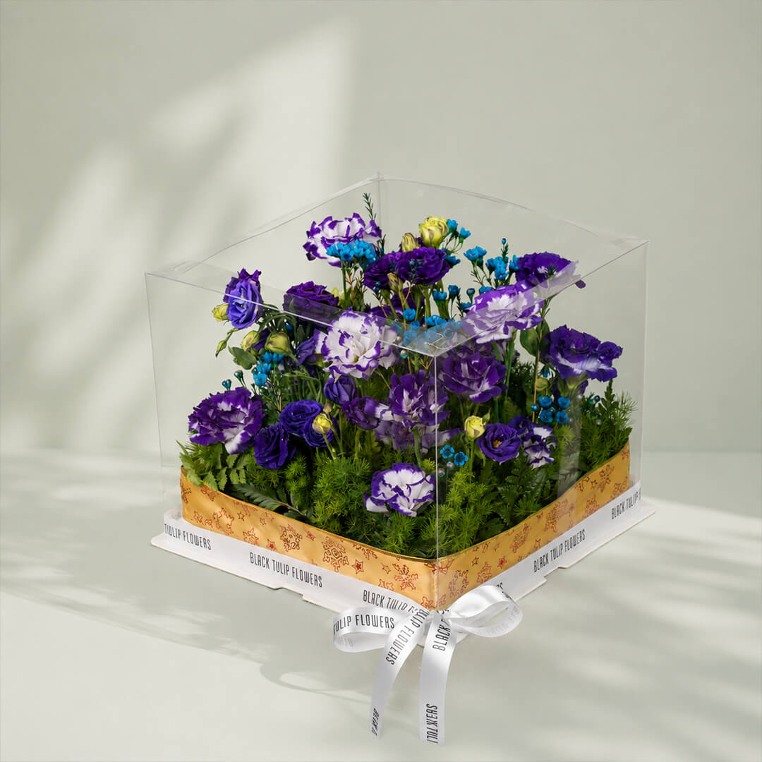 Purple and blue Eustoma with wax flowers and green leaves arranged in elegant flower box