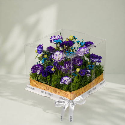 Purple and blue Eustoma with wax flowers and green leaves arranged in elegant flower box