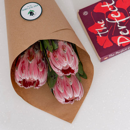 Queen Protea cut flower with sculptural layered bracts in vibrant pink for elegant floral arrangements