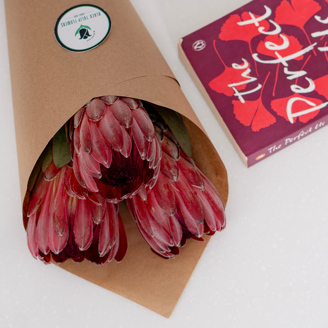 Queen Protea cut flower with sculptural layered bracts in vibrant pink for elegant floral arrangements