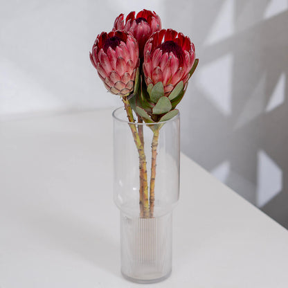 Queen Protea cut flower with sculptural layered bracts in vibrant pink for elegant floral arrangements