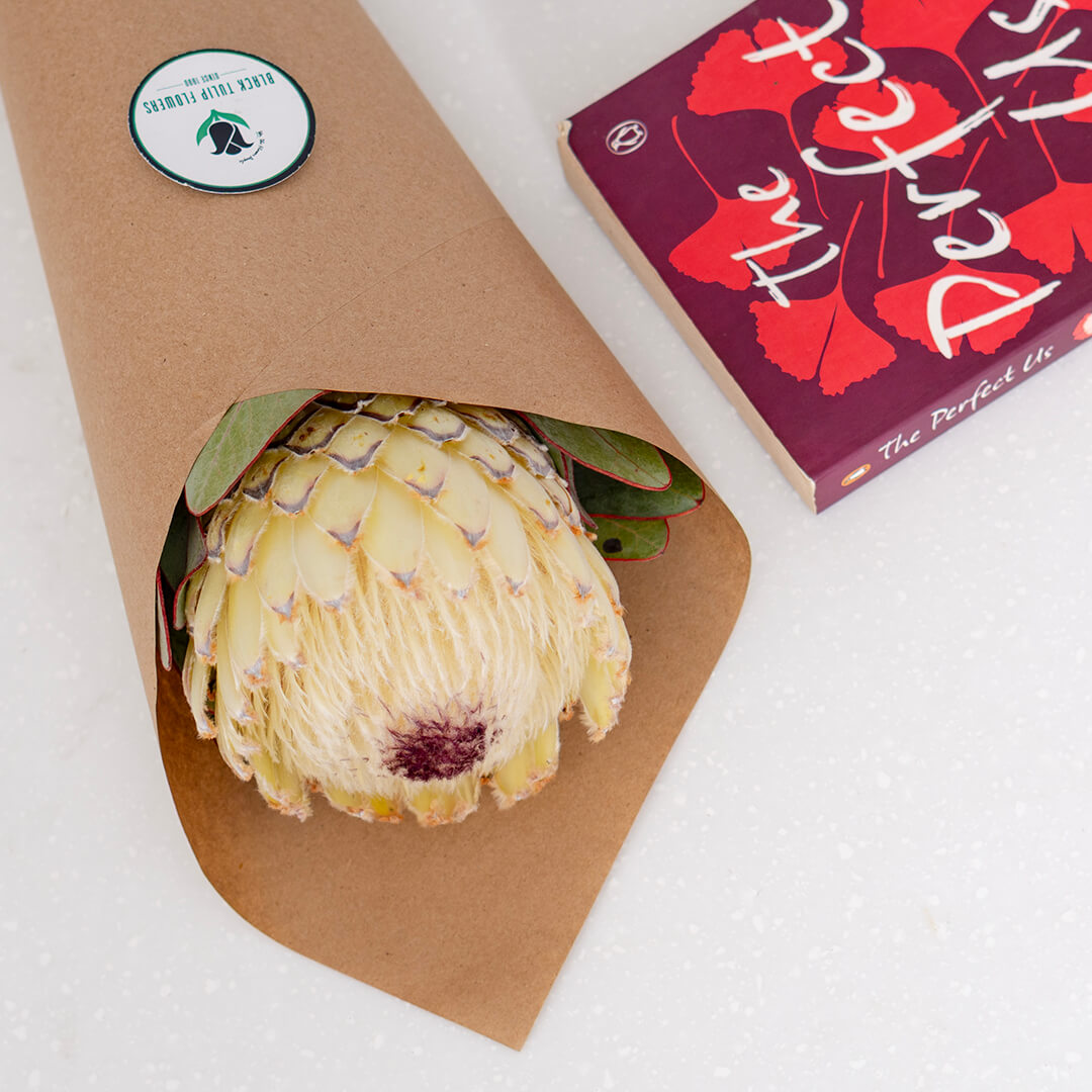Queen Protea cut flower with sculptural layered bracts in vibrant pink for elegant floral arrangements
