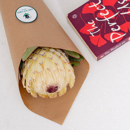 Queen Protea cut flower with sculptural layered bracts in vibrant pink for elegant floral arrangements