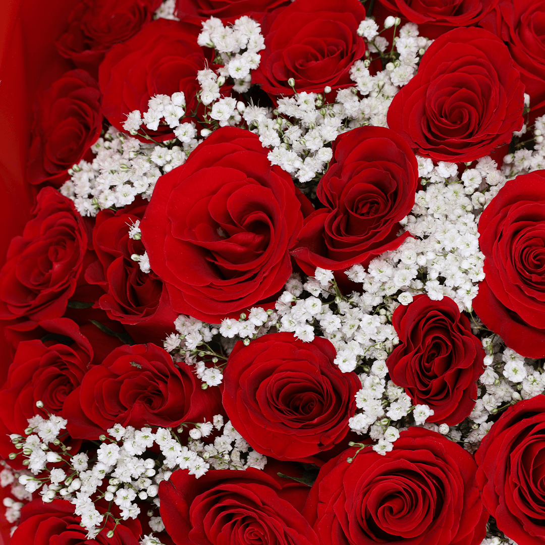 Passionate Red Whisper Bouquet arranged with 35 red roses with delicate gypso