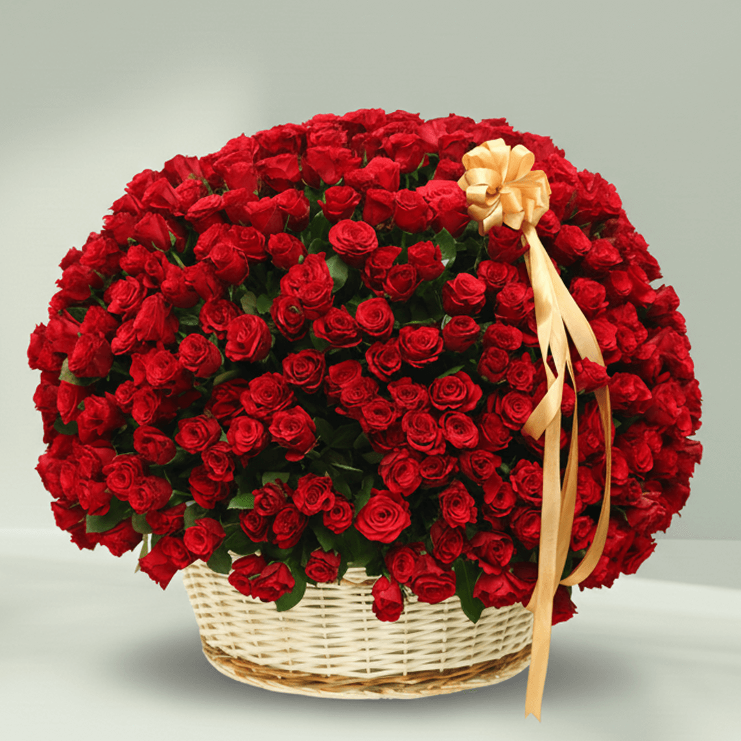 250 Red Roses Basket Arrangement arranged with 250 red roses with a luxe gold ribbon