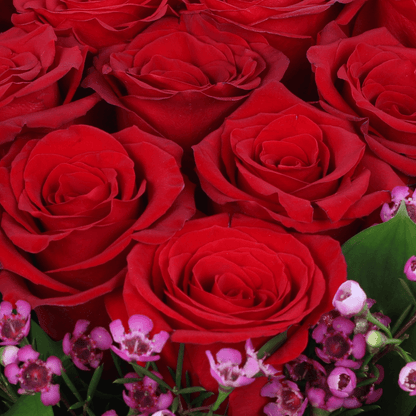 Red Roses Heart Love Box arranged with red roses with purple fillers