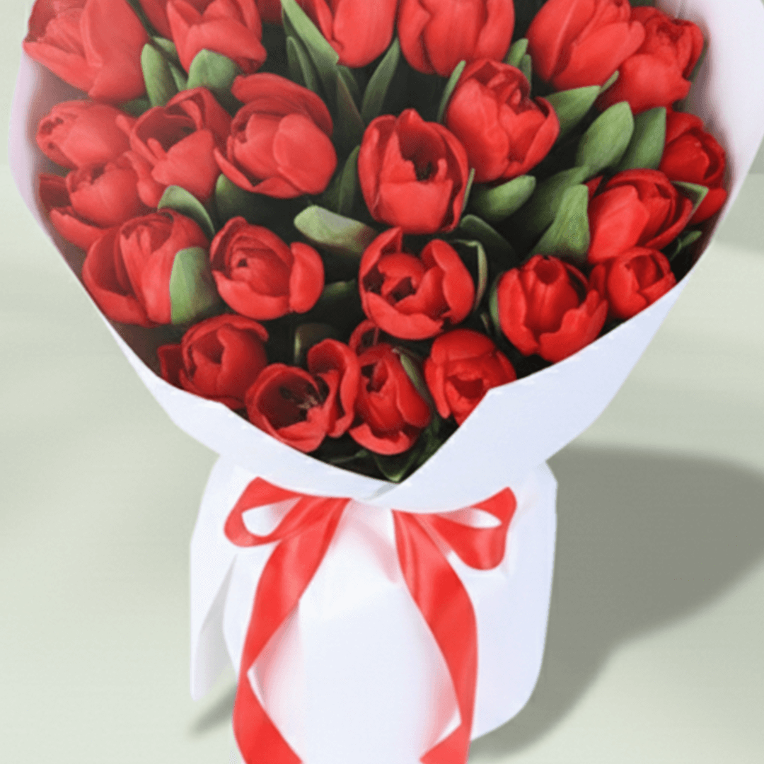 Red Tulip Passion Bouquet arranged with 30 red tulips with premium white wrapping.
