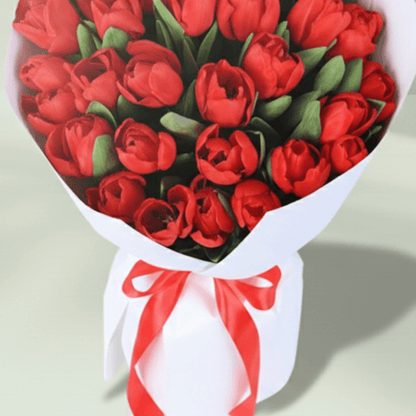 Red Tulip Passion Bouquet arranged with 30 red tulips with premium white wrapping.