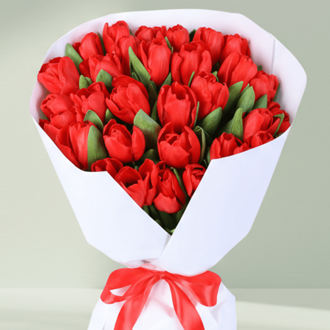 Red Tulip Passion Bouquet arranged with 30 red tulips with premium white wrapping.