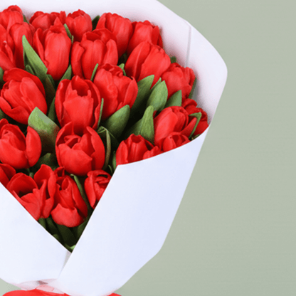 Red Tulip Passion Bouquet arranged with 30 red tulips with premium white wrapping.