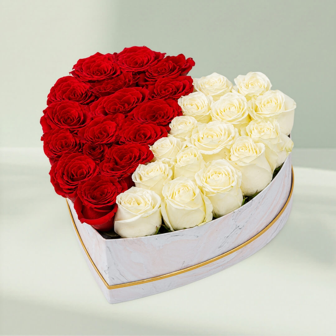 Red and white roses arranged equally in a heart-shaped marbled box for romantic gifting
