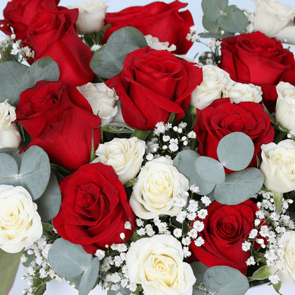 Red & White Rose Luxury Box arranged with fresh red and white roses