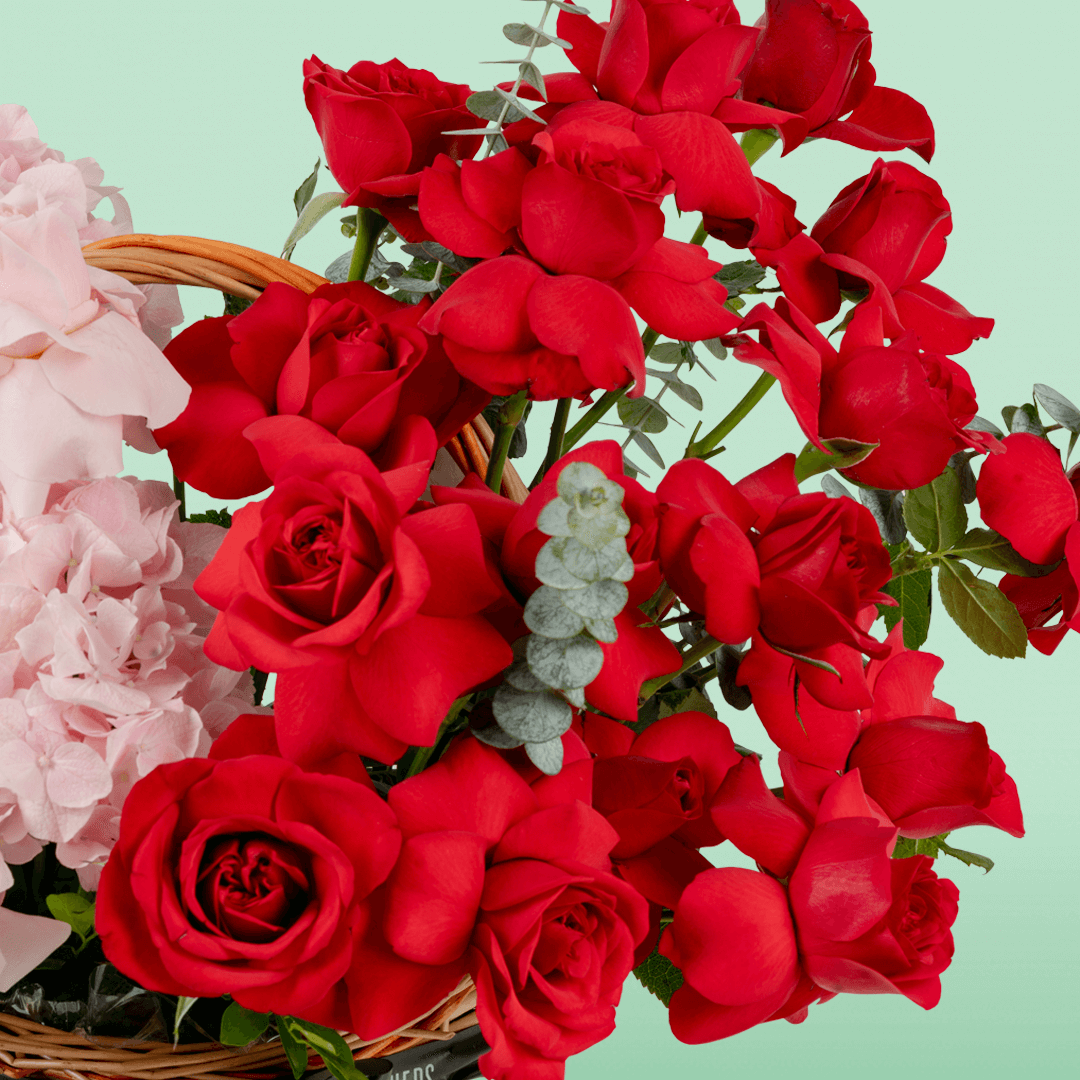 Mixed rose hydrangea basket with eucalyptus in red and pink flower tones