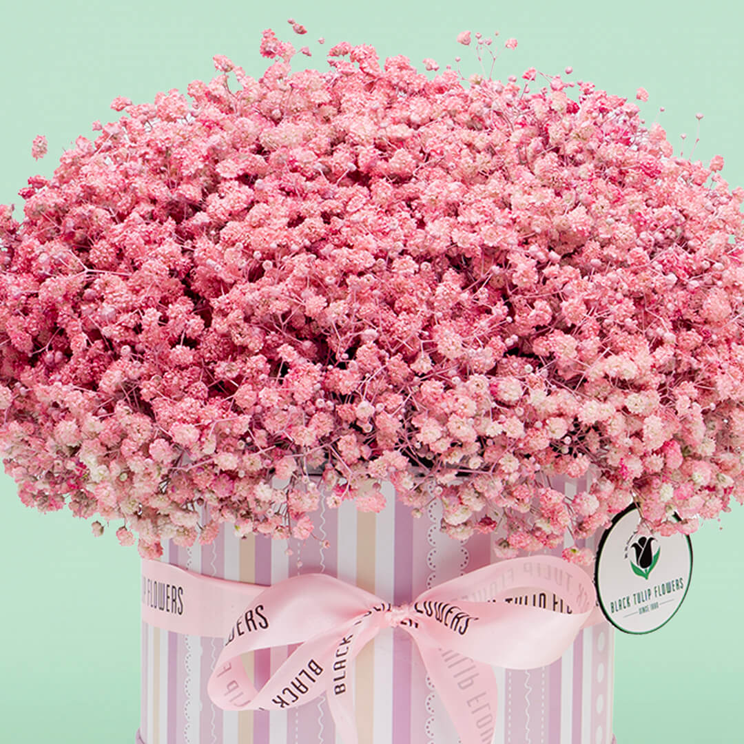 Pink baby's breath flower box with sprayed gypsophila in a round box
