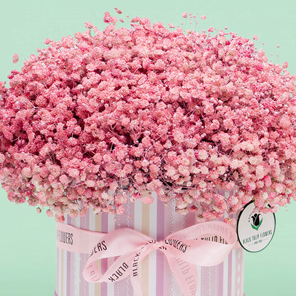 Pink baby's breath flower box with sprayed gypsophila in a round box
