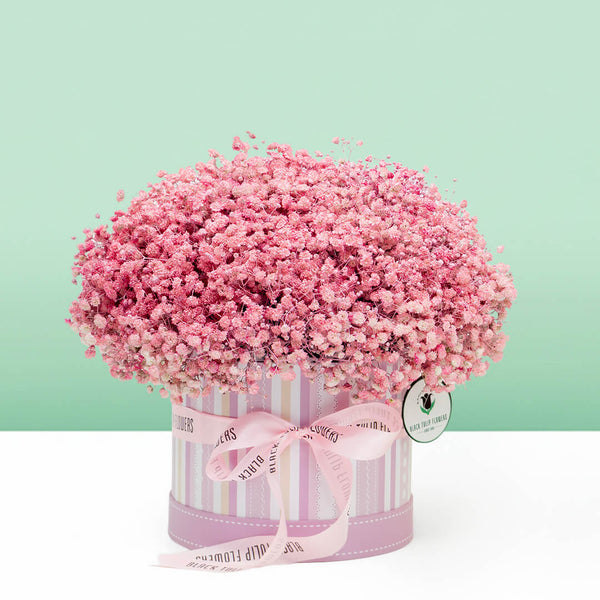 Pink baby's breath flower box with sprayed gypsophila in a round box
