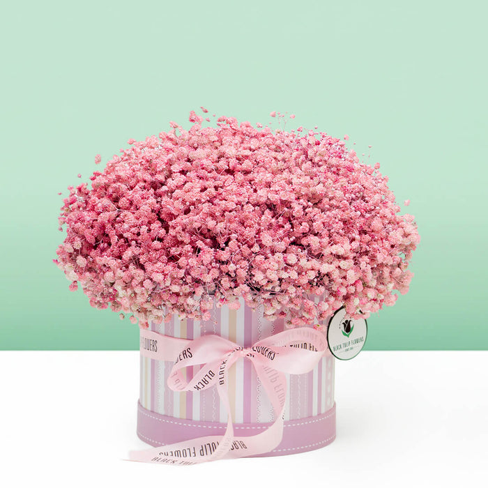 Rosy Charm Pink Baby's Breath Box