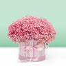 Rosy Charm Pink Baby's Breath Box