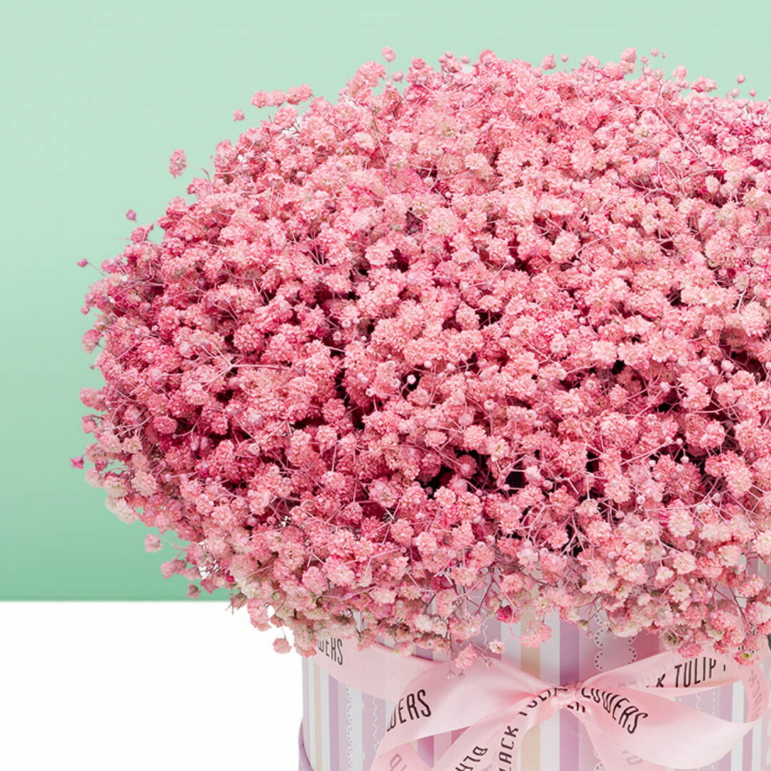 Pink baby's breath flower box with sprayed gypsophila in a round box
