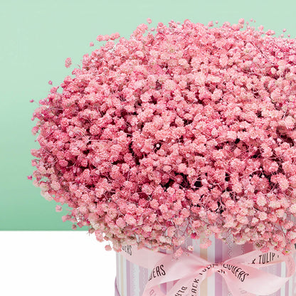 Pink baby's breath flower box with sprayed gypsophila in a round box

