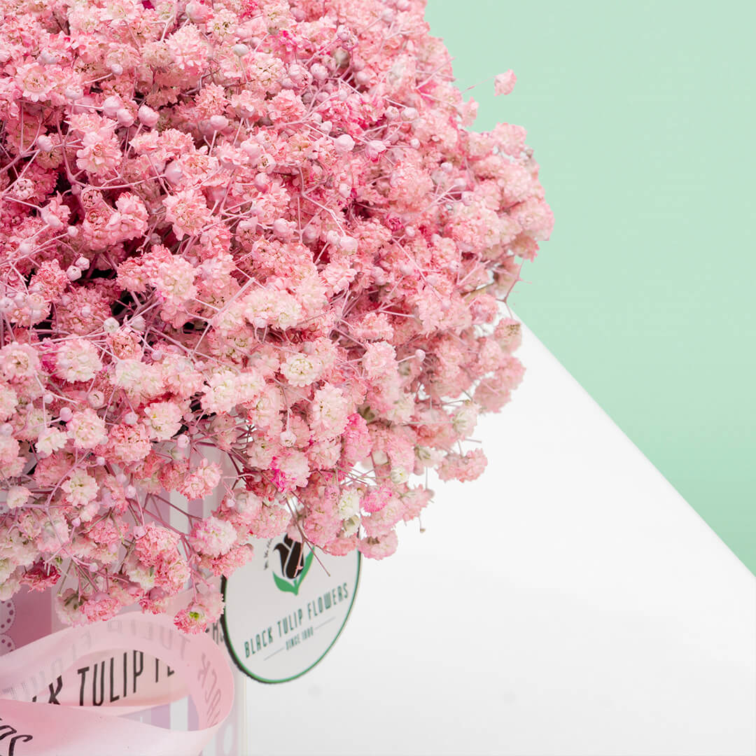 Pink baby's breath flower box with sprayed gypsophila in a round box
