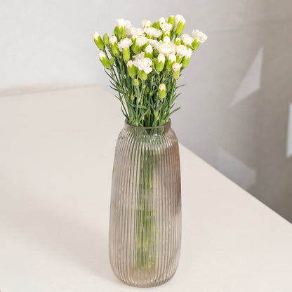 Fresh Spray Carnation blooms bundled in brown paper