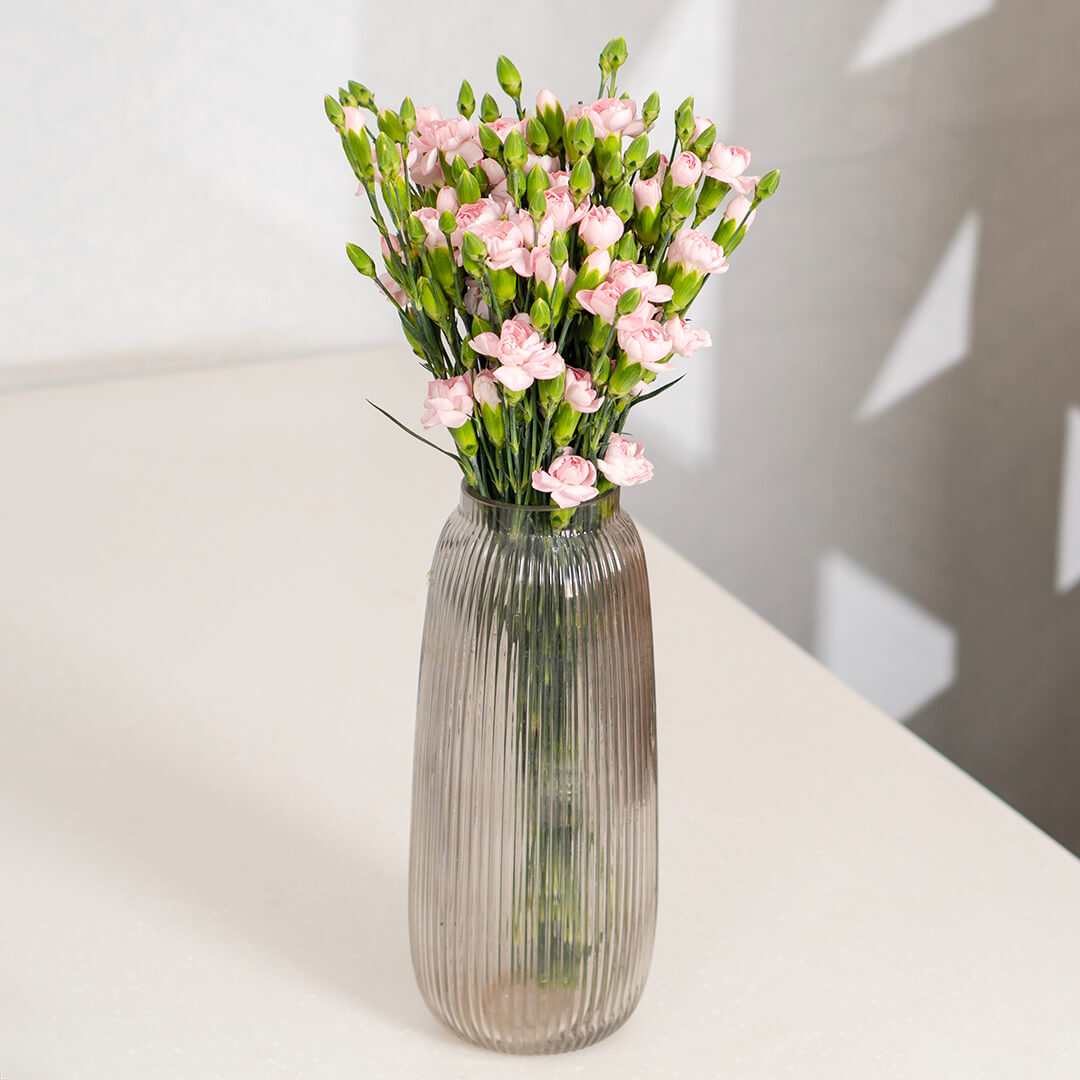 Fresh Spray Carnation blooms bundled in brown paper