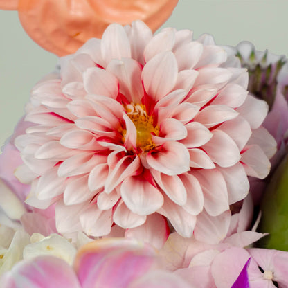 Sweet Blossom Delight with assorted roses, tulips, carnations, anthurium and candle in tray