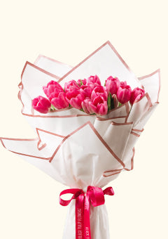 Tulip Collections
