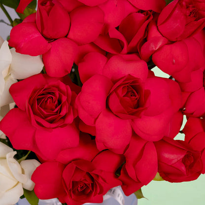 Twin Shades Red and White Rose Box