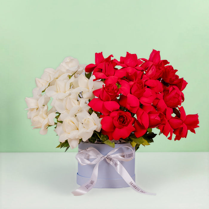 Twin Shades Red and White Rose Box