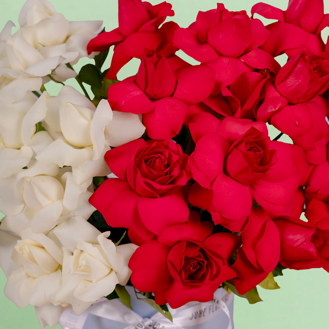 Twin Shades Red and White Rose Box