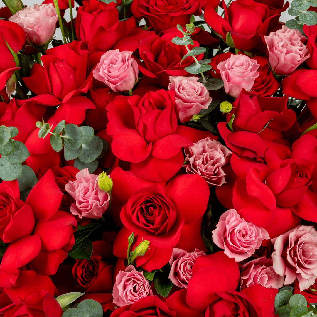 Enchanted red rose box with Eustoma eucalyptus and premium round red base